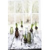 Ib Laursen Hyacintvase pebbled glas bordeaux